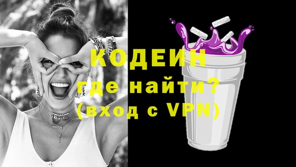 метадон Алексин