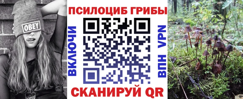 где найти   Туймазы  Галлюциногенные грибы мицелий 