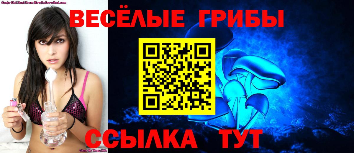 Галлюциногенные грибы Psilocybe  Вход с VPN  Туймазы 