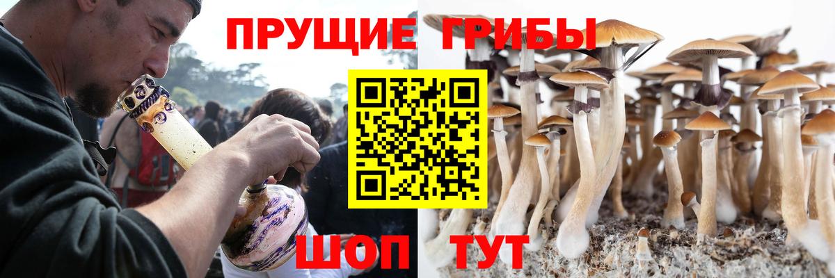 Галлюциногенные грибы GOLDEN TEACHER Туймазы